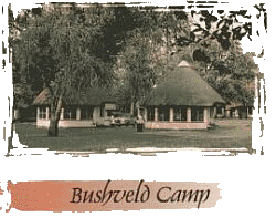 Bush Camp Kruger Park